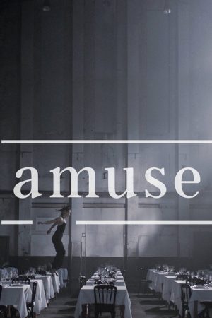 Amuse (2016) poster