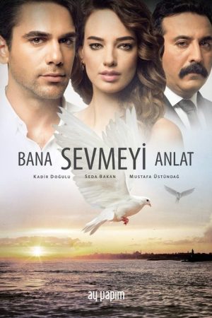 Wings of Love (2016) poster