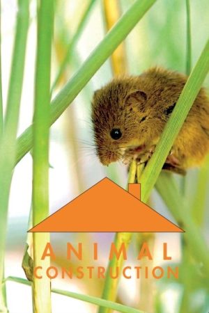 Animal Construction (2022) poster
