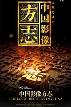 中国影像方志 (2017) poster