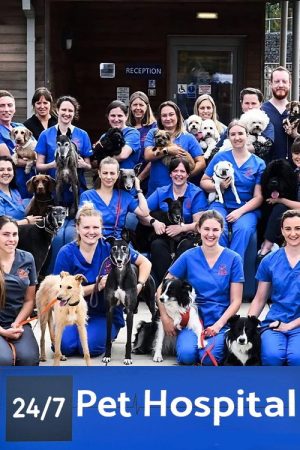 24/7 Pet Hospital (2023) poster