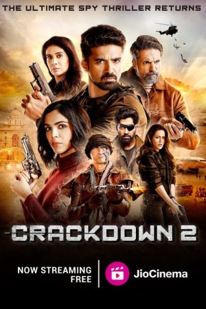 Crackdown (2020) poster