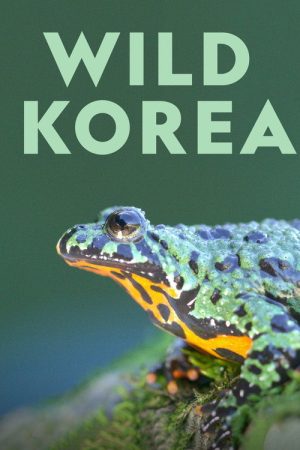 Wild Korea (2019) poster