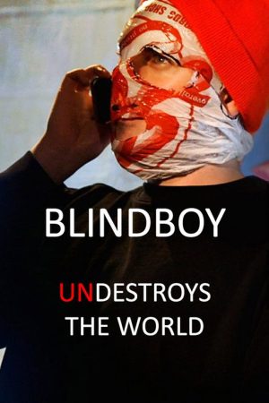 Blindboy Undestroys the World (2019) poster