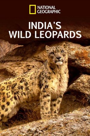 India’s Wild Leopards (2020) poster