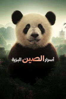 China’s Wild Secrets (2025) poster
