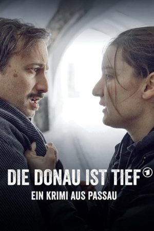 Die Donau ist tief – Ein Krimi aus Passau (2020) poster
