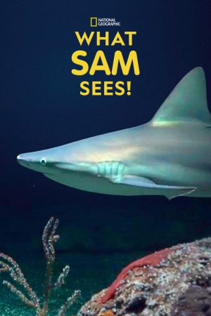 What Sam Sees (2018) poster