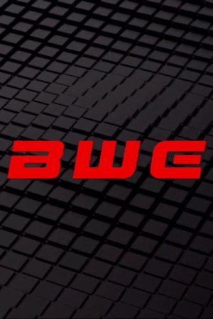 Boston Wrestling Entertainment (2025) poster