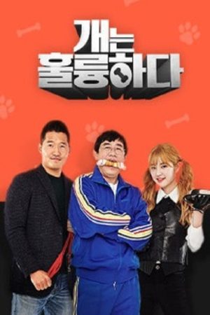 Magnificent Dogs (2019) poster