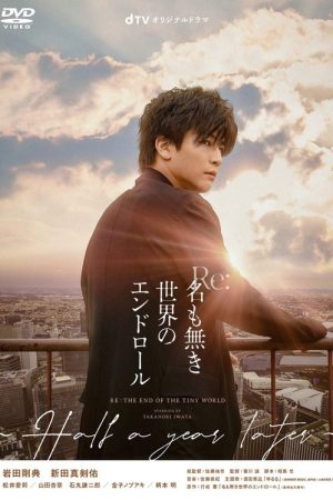 Re: The End of the Tiny World – Half a Year Later (2021) poster