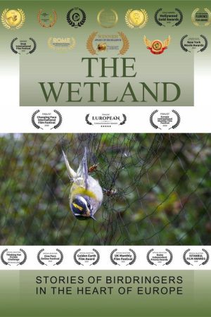 The Wetland (2020) poster