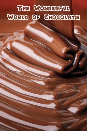 The Wonderful World of Chocolate (2019) poster