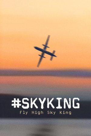#SKYKING (2026) poster