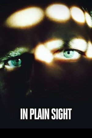 Killer in Plain Sight (2018) poster