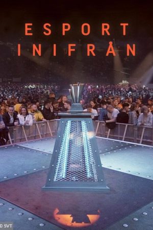 E-sports from within (2022) poster