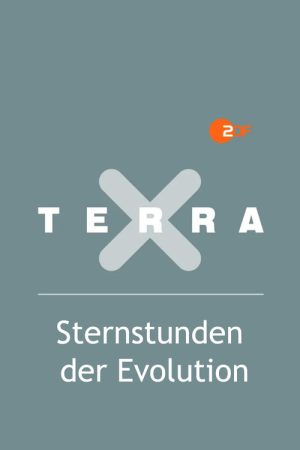 Terra X – Sternstunden der Evolution (2016) poster