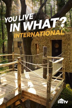 You Live in What? International (2020) poster