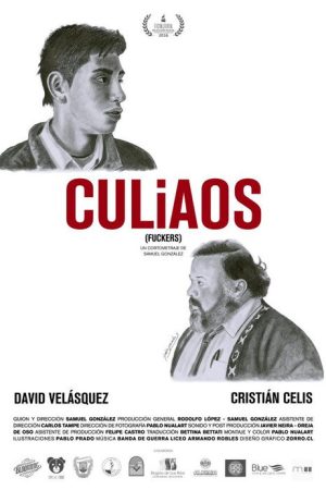 Culiaos (2016) poster
