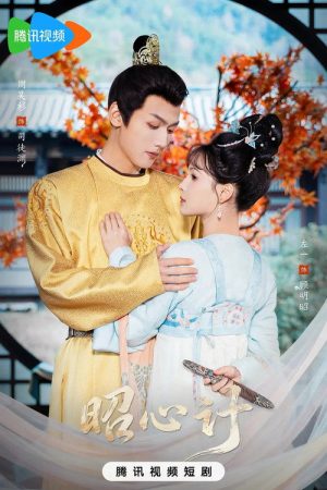 昭心计 (2026) poster