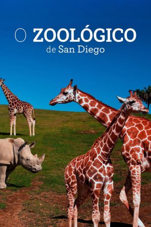 O Zoológico de San Diego (2019) poster