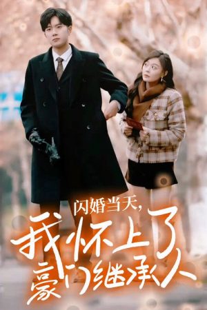 闪婚当天，我怀上了豪门继承人 (2023) poster