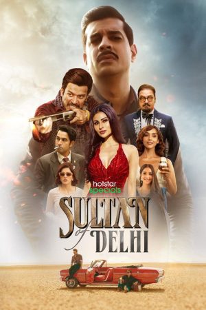 Sultan Of Delhi (2023) poster