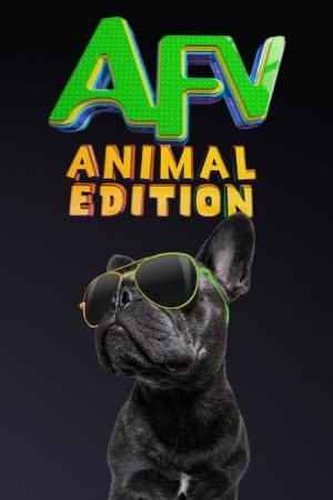 America’s Funniest Home Videos: Animal Edition (2021) poster