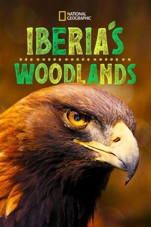 Iberia’s Woodlands: Life on the Edge (2021) poster