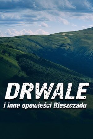 Drwale i inne opowieści Bieszczadu (2016) poster