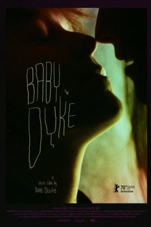 Babydyke (2020) poster