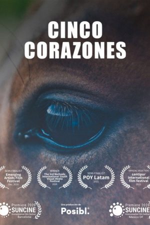 Cinco Corazones (2020) poster