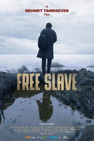 Free Slave (2019) poster