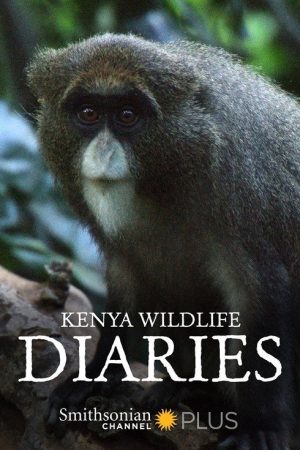 Kenya Wildlife Diaries (2016) poster