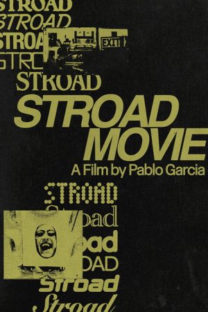 Stroad Movie (2025) poster