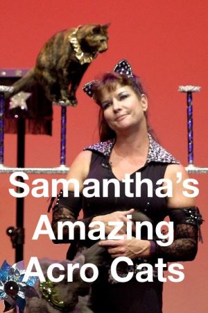 Samantha’s Amazing Acrocats (2017) poster