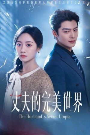 丈夫的完美世界 (2026) poster