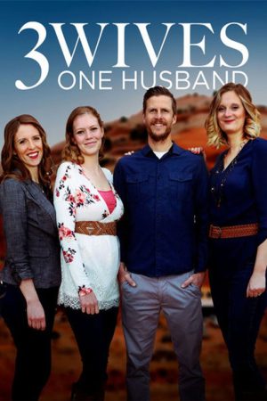 Three Wives, One Husband (2017) poster