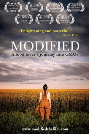 Modified (2017) poster
