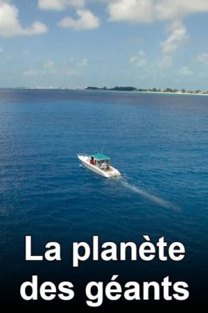 La Planète des géants (2016) poster