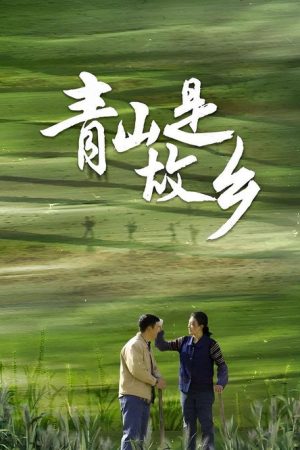 Green Hills of Home (2025) poster