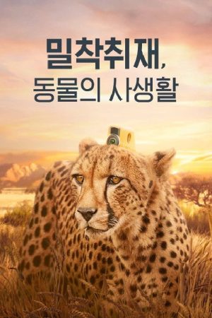 밀착취재, 동물의 사생활 (2018) poster