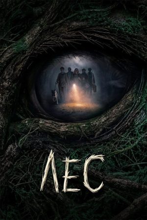 Forest (2026) poster