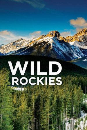 Wild Rockies (2016) poster