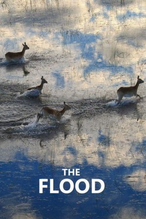 The Flood (2018) poster