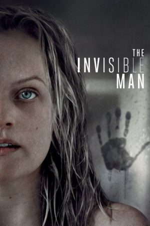 The Invisible Man (2020) poster