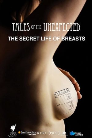 The Secret Life Of Breasts (2017) poster
