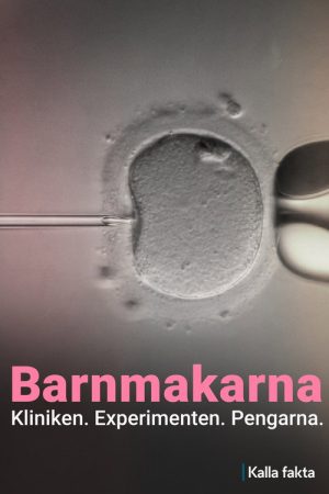 Kalla fakta: Barnmakarna (2026) poster