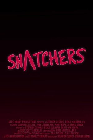 Snatchers (2016) poster