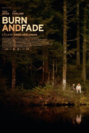 Burn and Fade (2025) poster